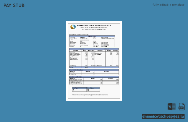 Purview India Consulting and Services Gehaltsabrechnungsbeispiel (Vorschau)
